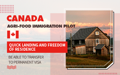 Agri-Food Pilot